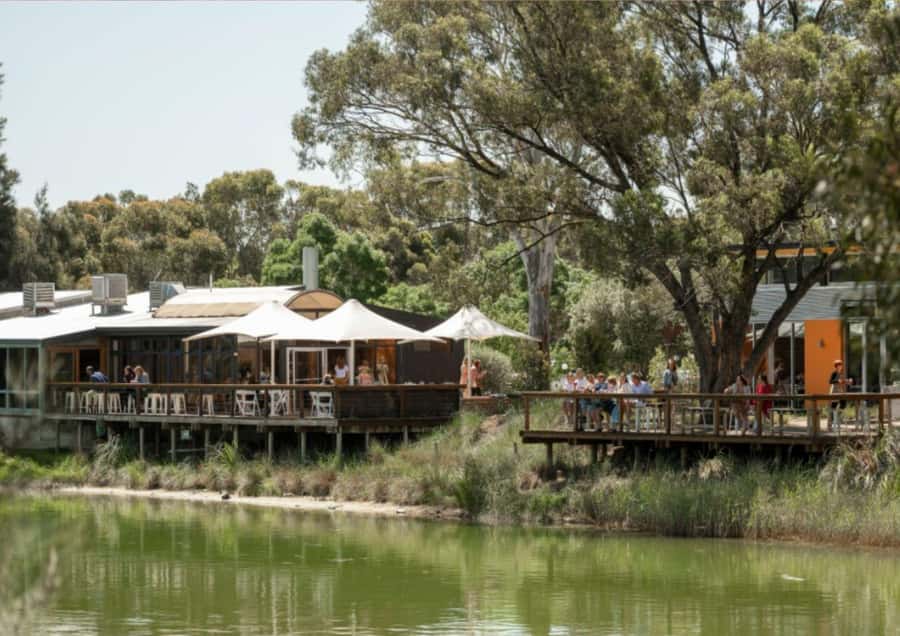 Barossa Valley: Maggie Beer's Wine Tasting & Cheese Platter - Key points at a glance