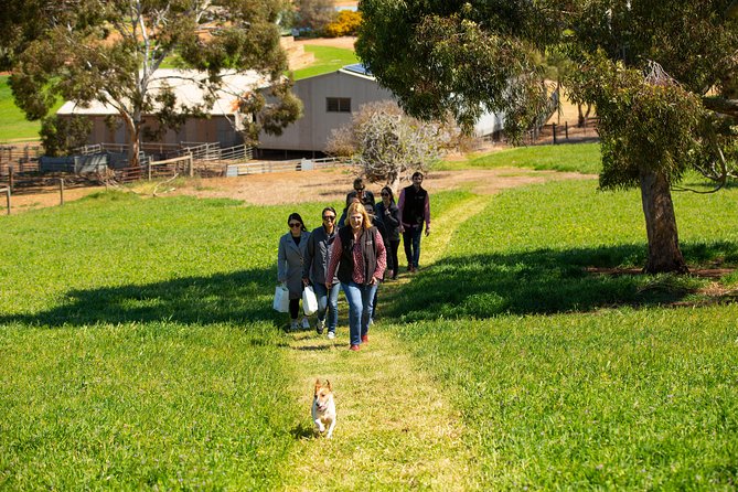 Barossa Wine Tasting shared tours - Optional chocolate or brewery stop