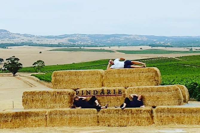 Barossa Wine Tasting shared tours - How the $47 price works for you