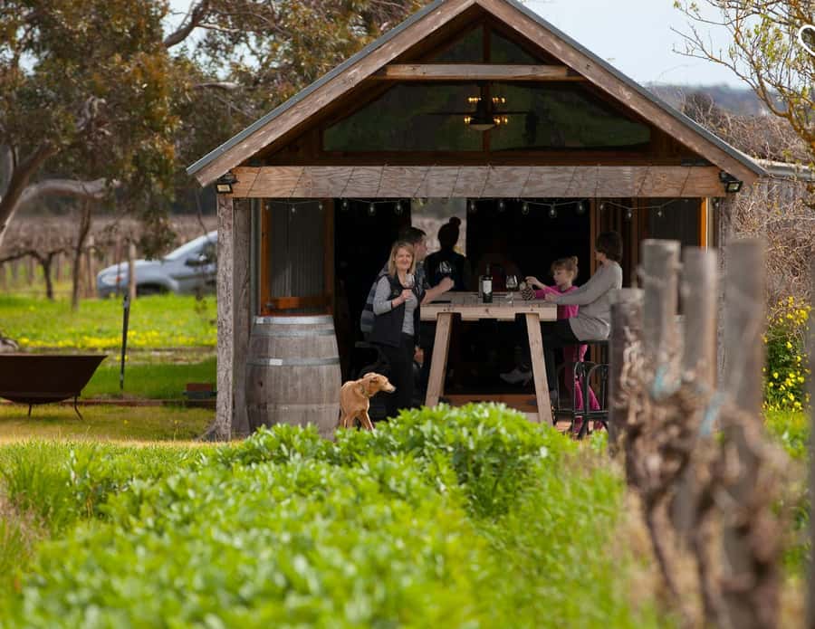 Barossa Wine Tour: Small Group 8 max, Rare, Unique, Premium - Starting with pickup from Adelaide, Glenelg, or Barossa