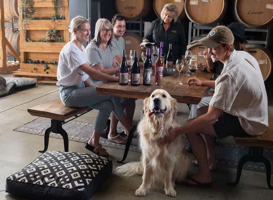 Barossa Wine Tour: Small Group 8 max, Rare, Unique, Premium - Barossa scenery and a few Australian extras
