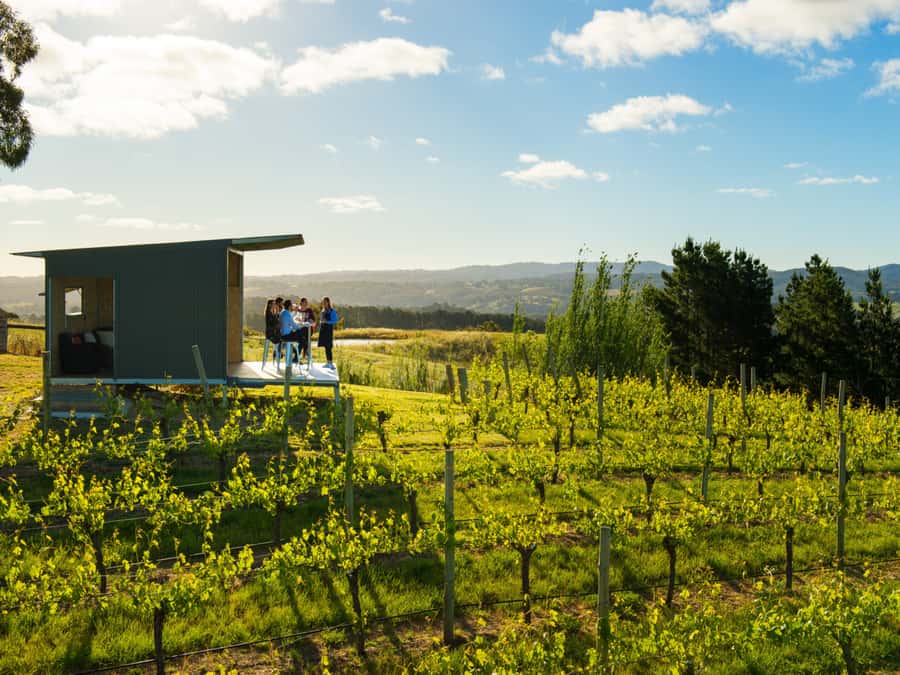 Barossa Wine Tour: Small Group 8 max, Rare, Unique, Premium - Three or four cellar doors, with the people behind the bottle