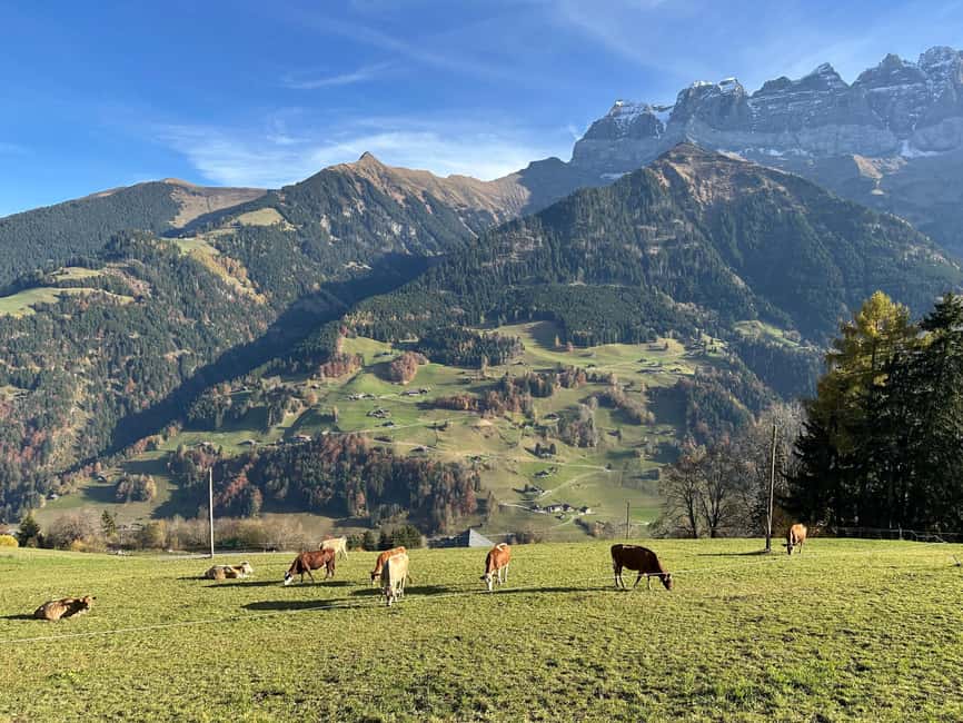 Basel: Local Cheese Tasting Tour with a Cheese Sommelier - Why Swiss cheese deserves more than a quick bite