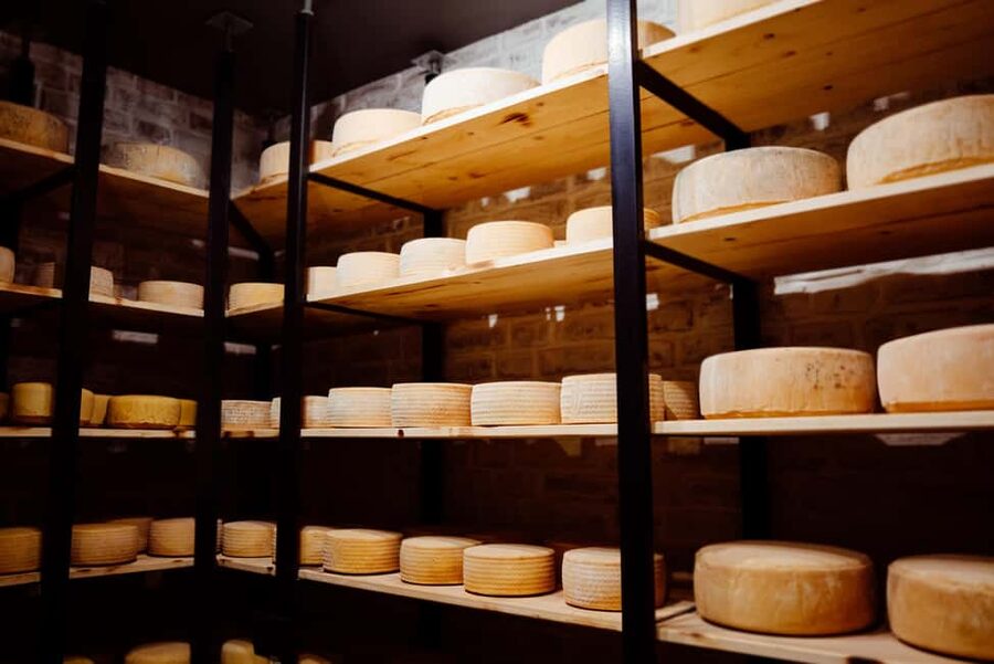 Basel: Local Cheese Tasting Tour with a Cheese Sommelier - Who will enjoy this Basel tasting?