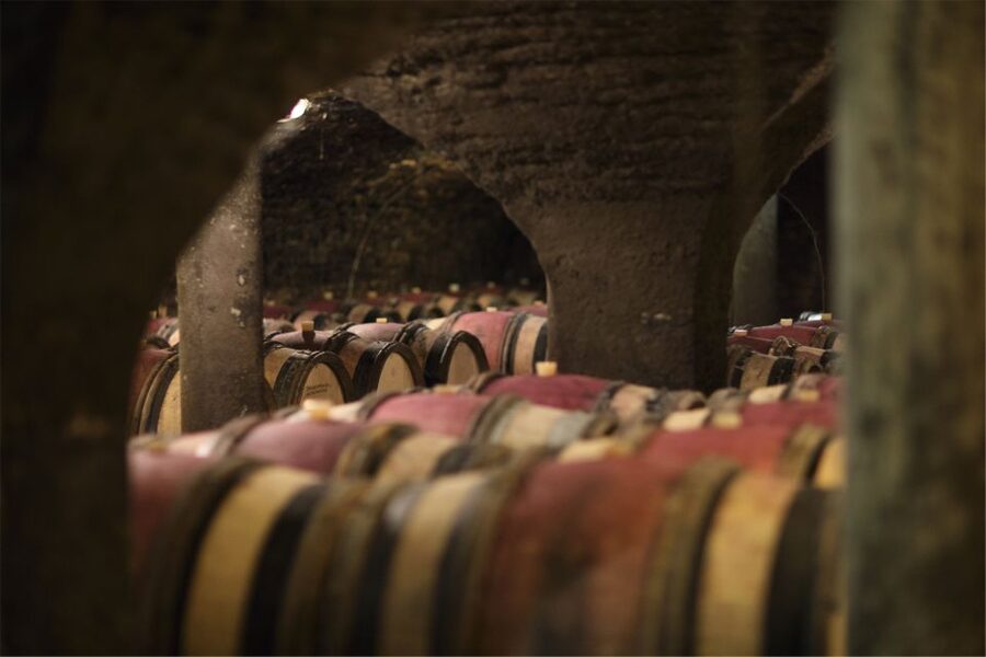Beaune: Maison Champy Guided Cellar Tour with Wine Tasting - A clear explanation of Burgundy winemaking