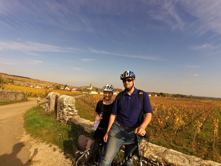 Beaune: Winery Tour by Bike with Wine Tasting - Key Points Before You Book