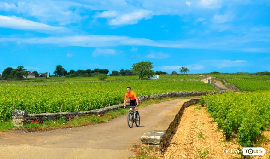 Beaune: Winery Tour by Bike with Wine Tasting - Why This Bike Ride Works So Well in Burgundy