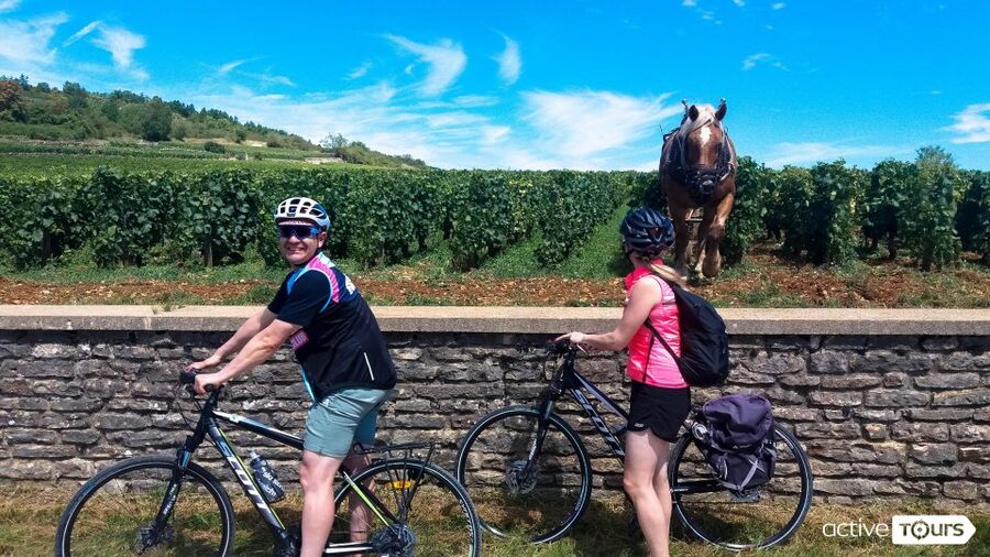 Beaune: Winery Tour by Bike with Wine Tasting - Riding Through Pommard and Volnay