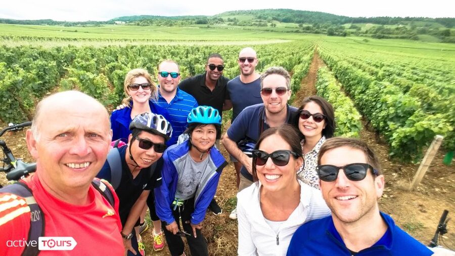 Beaune: Winery Tour by Bike with Wine Tasting - Visiting a Local Winery in Pommard or Meursault