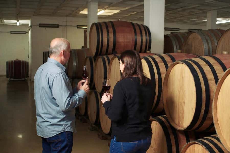 Best of the Cape Peninsula & Wine Route with Wine Tasting - Stellenbosch gives the day a second identity