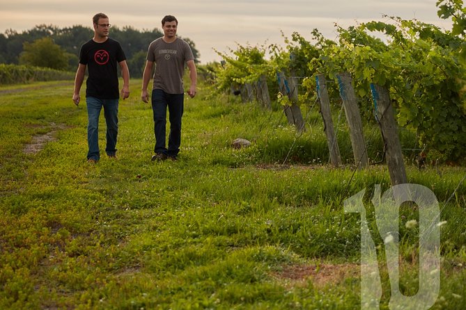 Between The Lines Classic Wine Tasting - Food, Charcuterie, and What Is Not Included