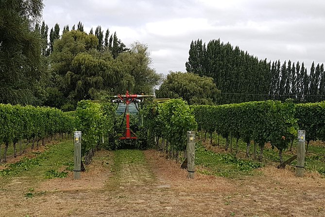 Beyond the Vines - Full-Day Marlborough Wine Tasting Tour - The guides can make or break the outing