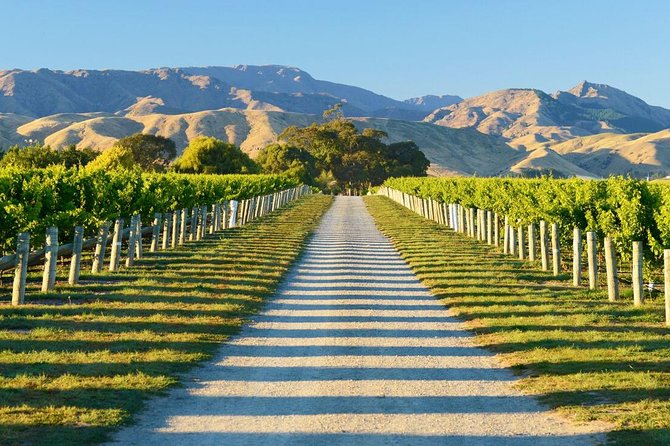 Beyond the Vines - Full-Day Marlborough Wine Tasting Tour - The winery lineup: variety rather than a fixed script