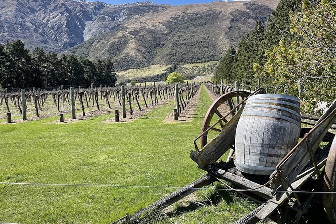 Bike & Wine Tour: Arrowtown to Valley of the Vines - Quick take: what makes this ride worthwhile