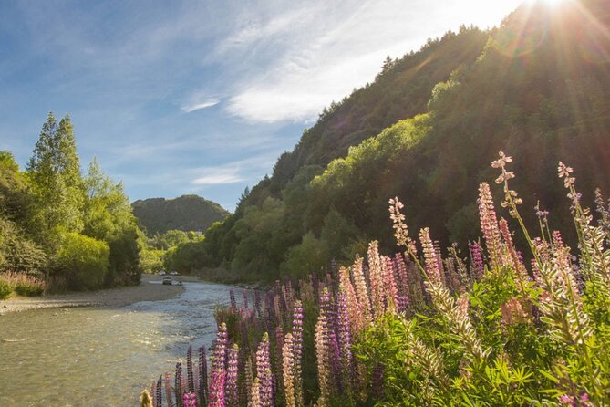 Bike & Wine Tour: Arrowtown to Valley of the Vines - What the $73.85 price really buys you