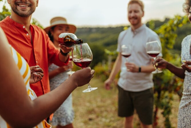 Bike & Wine Tour: Arrowtown to Valley of the Vines - Standard bike or e-bike: make the right call