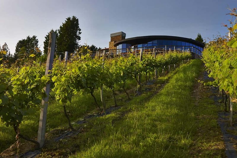 Bilbao: Gaztelugatxe, Bermeo, Mundaka, Gernika, & Wine Tour - Gernika, where the day gains weight