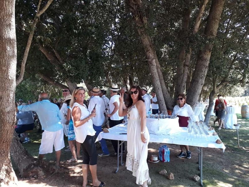 Binissalem: Individual vineyard tour and wine tasting in German - What the personal hosting adds
