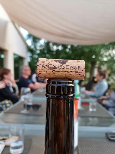 Binissalem: Individual vineyard tour and wine tasting in German - Starting at the bodega gate