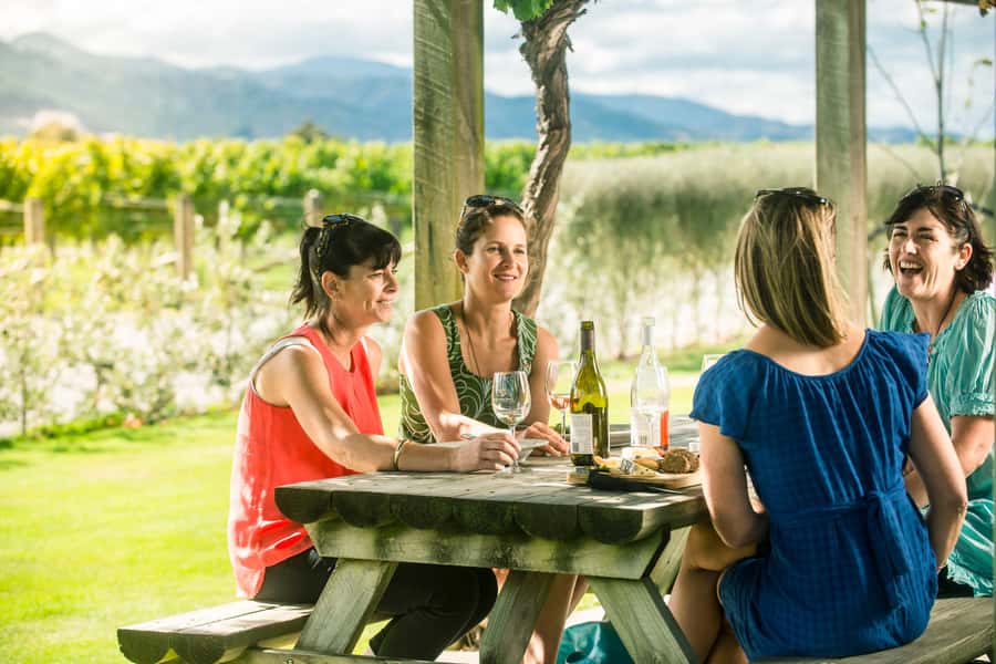 Blenheim/Renwick: Marlborough Half-Day Wine Tour with Lunch - Why this half-day tour works well in Marlborough