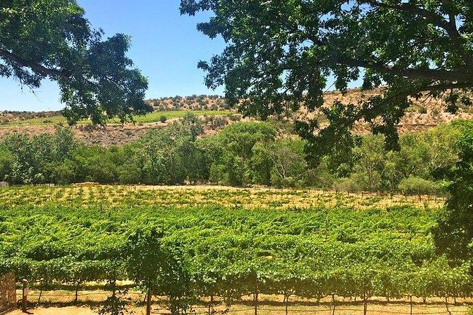Bliss - Sedona’s Most Luxurious Wine Tour - Lunch Included! - Javelina Leap finishes with a rustic tasting room