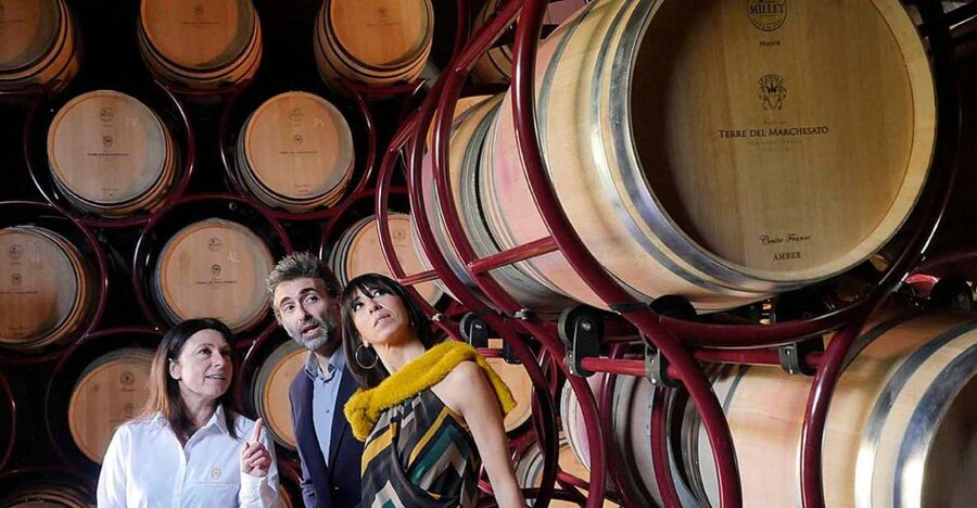 Bolgheri: Winery Tour with Wine Tasting - Key points to know before you go