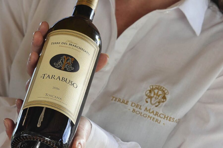 Bolgheri: Winery Tour with Wine Tasting - Who should book this Bolgheri winery visit?