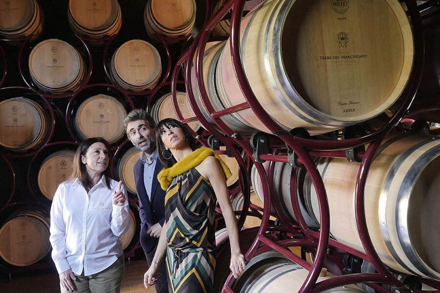 Bolgheri: Winery Tour with Wine Tasting - Arriving at Terre del Marchesato near Bolgheri