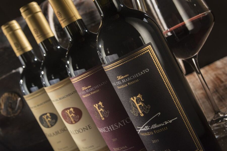 Bolgheri: Winery Tour with Wine Tasting - From grape to glass inside the winery