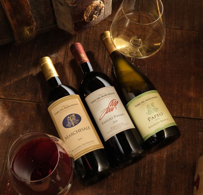 Bolgheri: Winery Tour with Wine Tasting - Choosing between Classic, Sensorial, and Premium