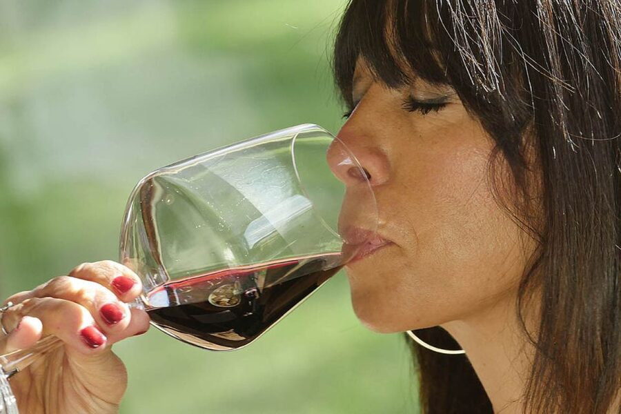 Bolgheri: Winery Tour with Wine Tasting - What the one-hour schedule really means