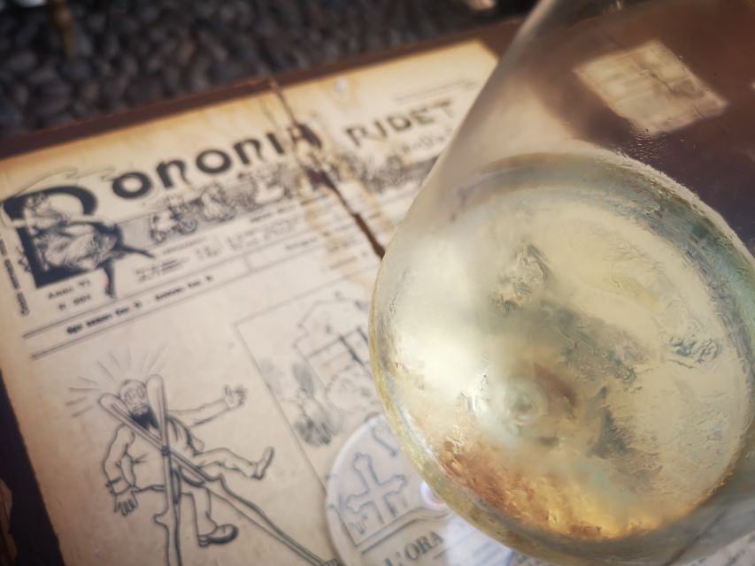 Bologna: City Center Guided Wine Walking Tour - Key details before you book