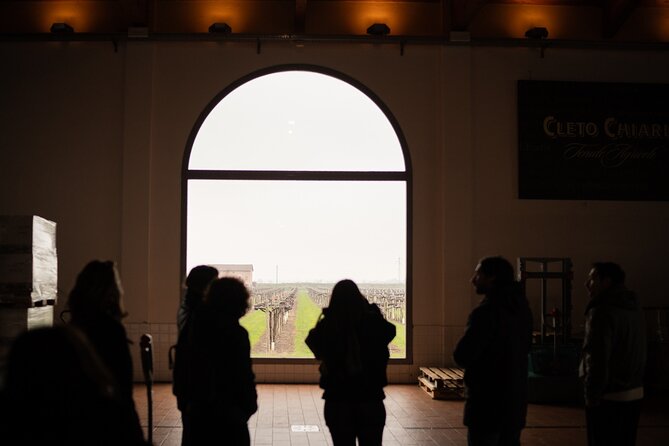 Bologna Food Valley: Factory tasting, Wines & traditional Lunch - Traditional Balsamic Vinegar in Castelvetro
