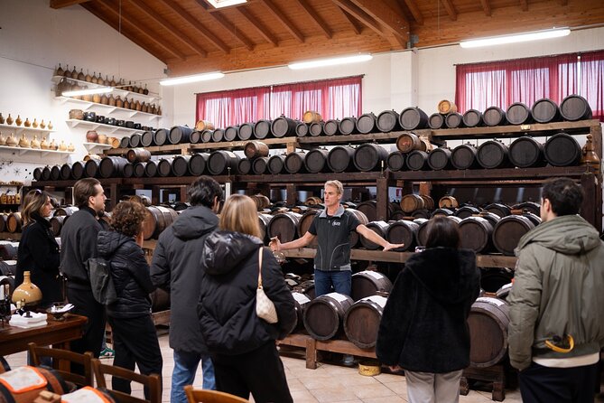 Bologna Food Valley: Factory tasting, Wines & traditional Lunch - Lambrusco among the Castelvetro hills