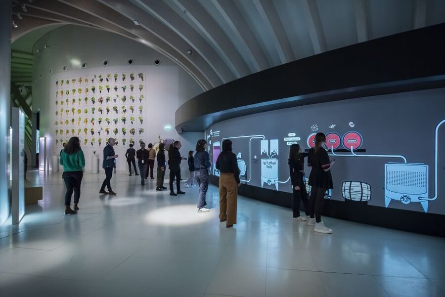 Bordeaux: Cité du Vin Entry Ticket and Wine Tasting - Learning about vineyards and winemaking