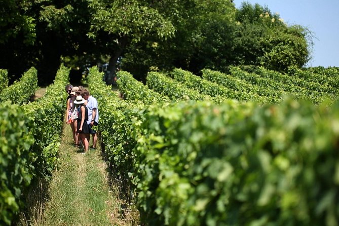 Bordeaux Full day Medoc and St Emilion 3 chateaux with Lunch - One day, two sides of Bordeaux wine country