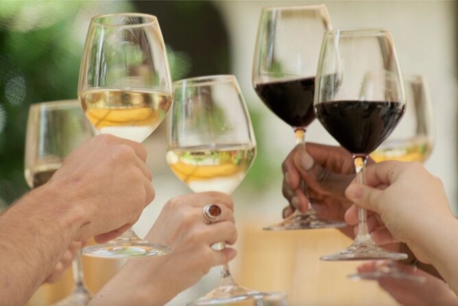 Bordeaux : Full Day Wine Tastings & Gourmet Lunch - Tasting 10 to 12 Bordeaux wines