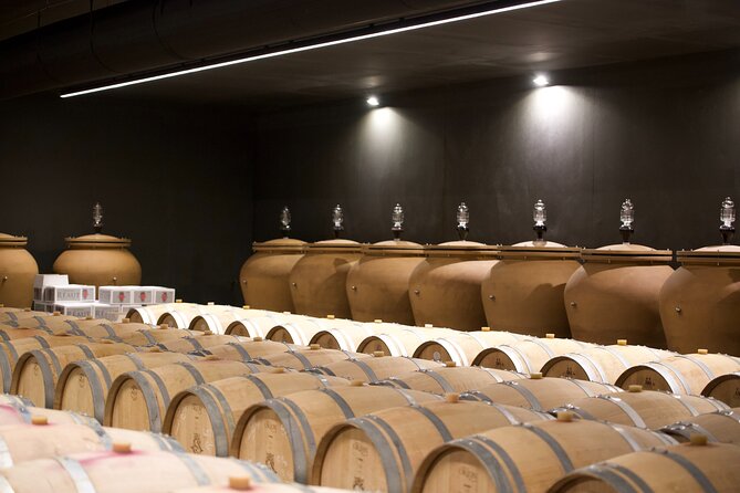 Bordeaux : Full Day Wine Tastings & Gourmet Lunch - Price and value at $236.20