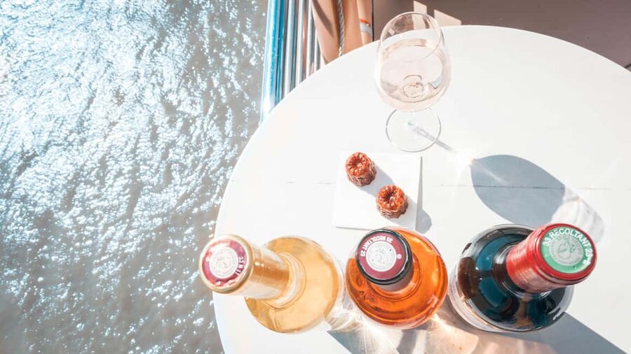 Bordeaux: Guided Wine and Canelé Discovery Cruise - Is $22 a fair price?