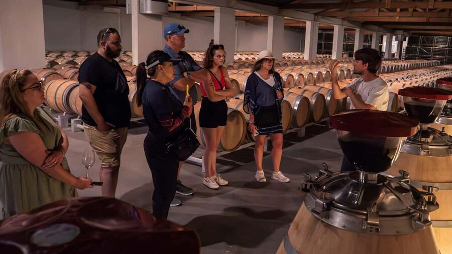 Bordeaux: Half-Day Margaux Tour with Wine Tastings - What the guides add to the experience