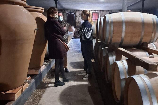 Bordeaux Médoc Region Private Wine Lovers Tour with Chateau Visits & Tastings - Why private transport matters after tasting wine