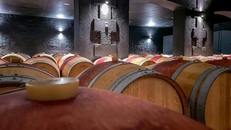 Bordeaux: Saint-Emilion and Medoc Full-Day Wine Experience - The day in six useful points