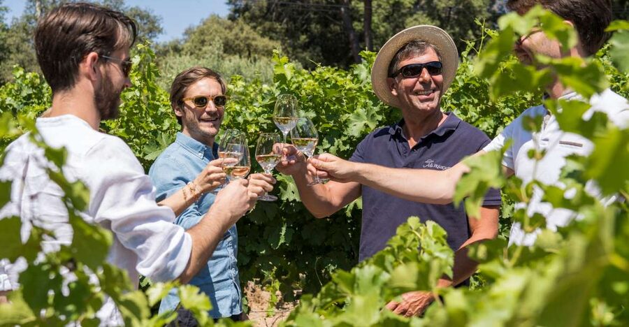 Bordeaux: Saint-Emilion Village Day Trip, 2 Chateaux & Lunch - Key points at a glance
