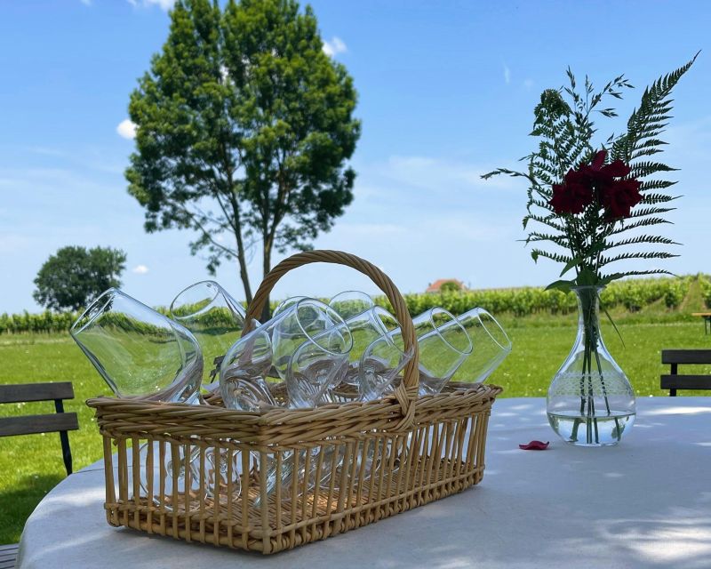 Bordeaux: Saint-Emilion Village Day Trip, 2 Chateaux & Lunch - Why Saint-Émilion makes a fine day out