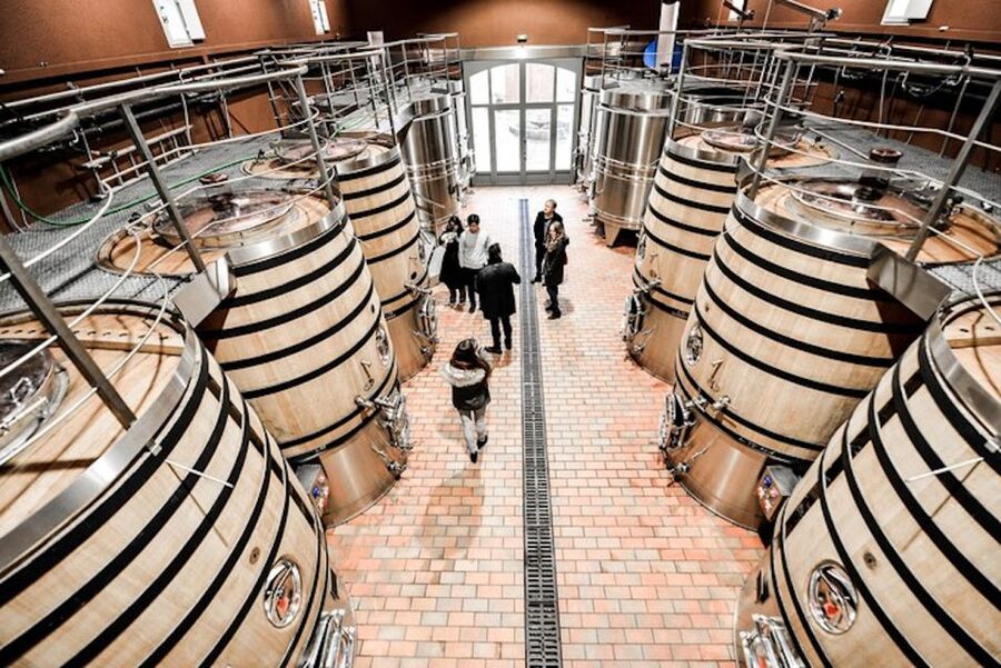 Bordeaux: St-Emilion and Medoc Wine Day Tour with Lunch - Why this tour works for Bordeaux first-timers