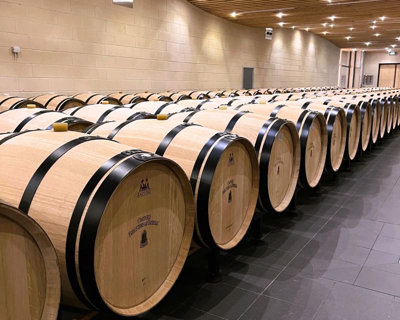Bordeaux: St-Emilion Vineyards e-Bike Tour with Wine & Lunch - Key points to know before booking