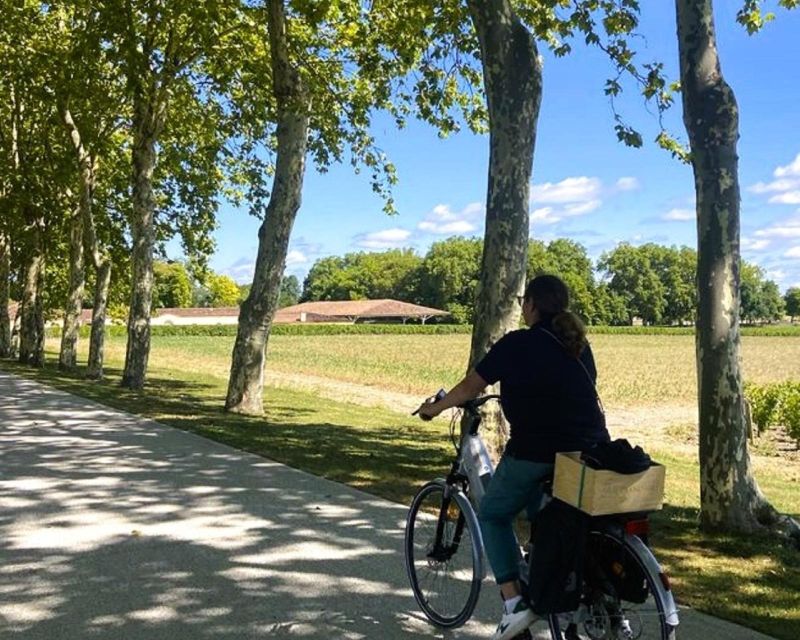 Bordeaux: St-Emilion Vineyards e-Bike Tour with Wine & Lunch - Lunch at a château