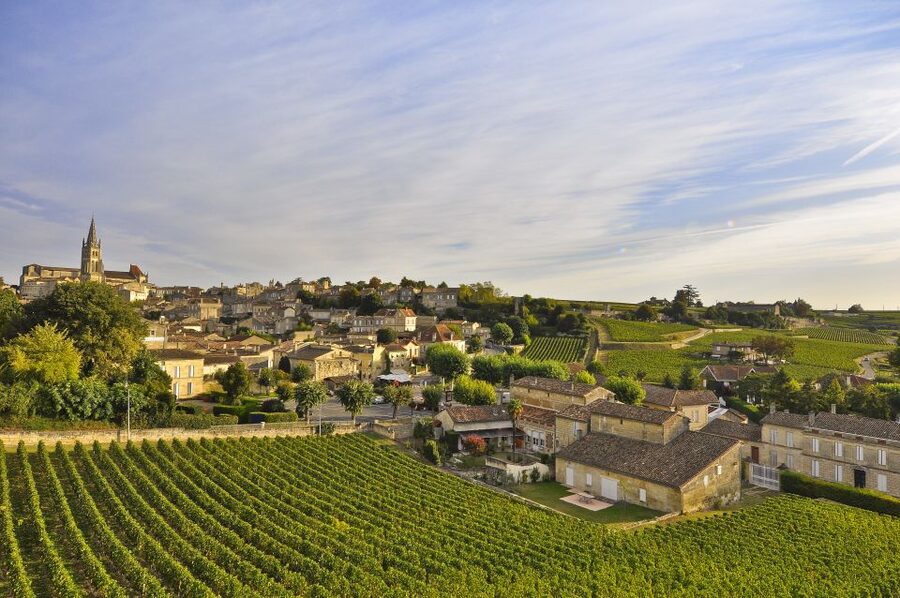 Bordeaux: Vineyards Wine Tasting Half-Day Trip - The guide, transport, and pace