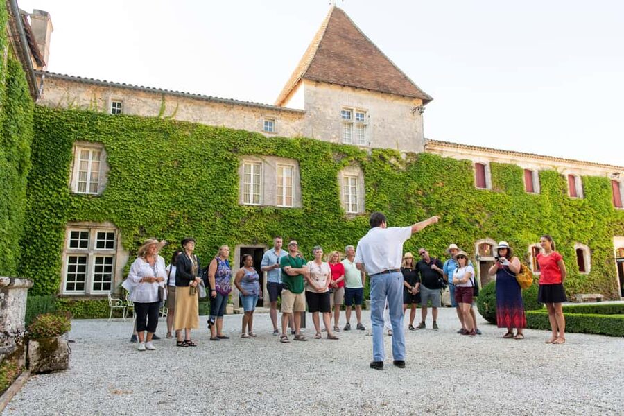 Bordeaux: Vineyards Wine Tasting Half-Day Trip - Saint-Émilion: cobbled lanes and an underground church