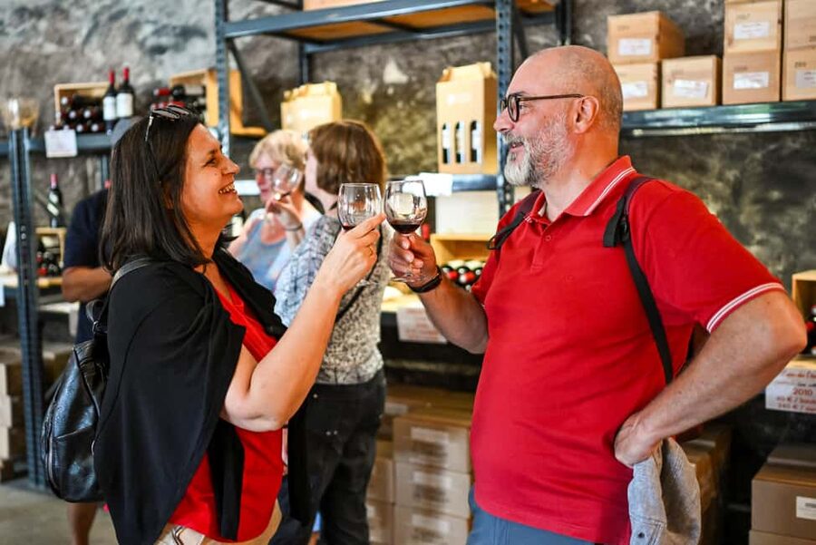 Bordeaux: Vineyards Wine Tasting Half-Day Trip - Graves and Sauternais: two styles in one afternoon